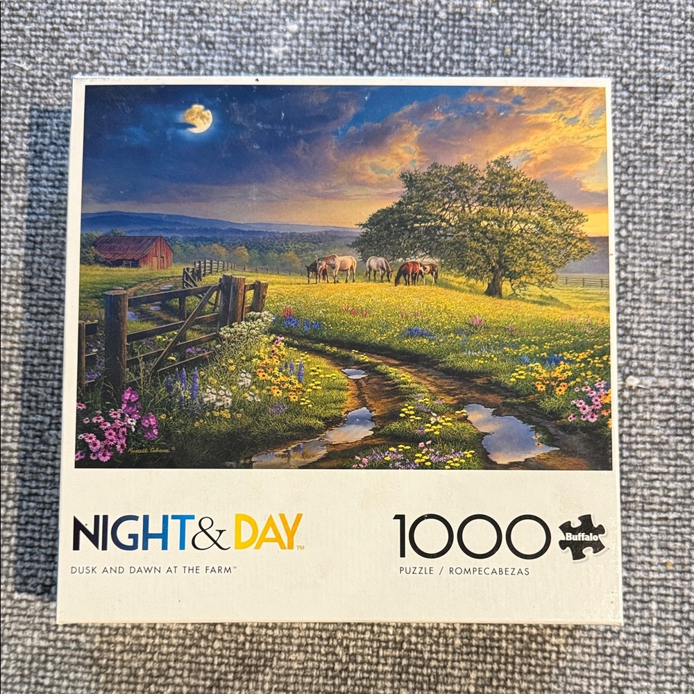 Buffalo Games Night & Day Puzzle